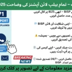 Infographic showing BISP 8171 Customer Support 2025 with helpline, WhatsApp, email, and information icons.
