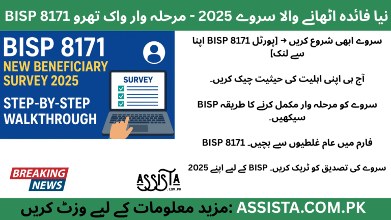 Illustration showing a person completing the BISP 8171 New Beneficiary Survey 2025 on a laptop, symbolizing Pakistan’s digital registration process.